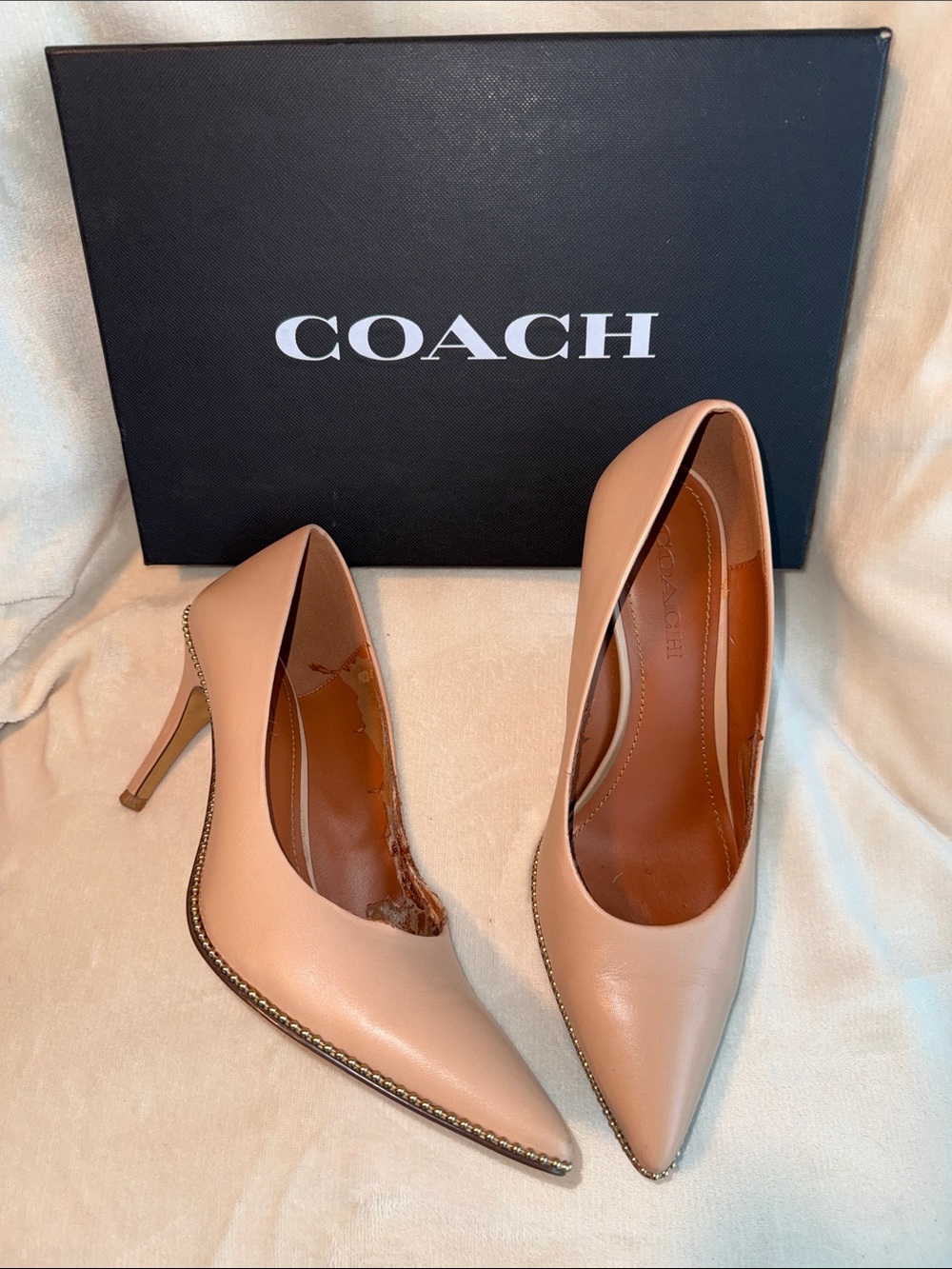 Coach Parker BC 85 Pointed Toe Leather Pumps in Blush Nude